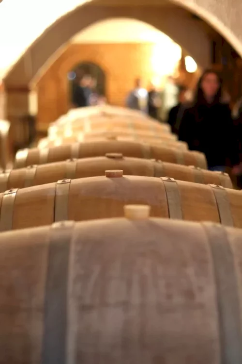 dani-otvorenih-web-event