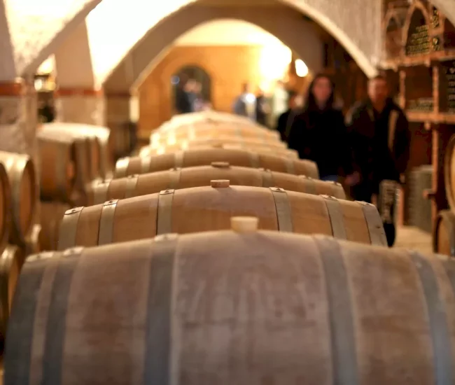 dani-otvorenih-web-event