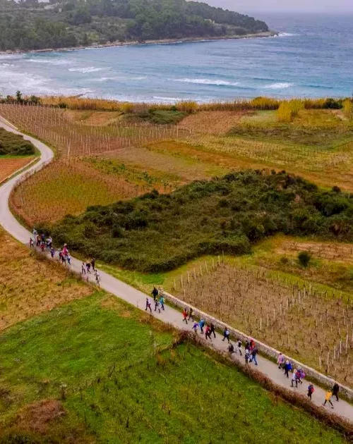 camino-hrvatska-korcula-fest-and-event