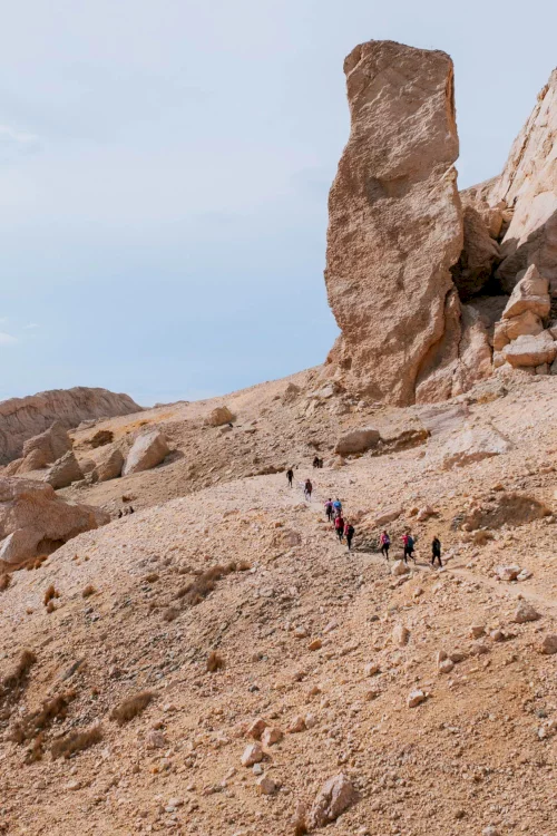 LifeOnMars 2025_69 (1)