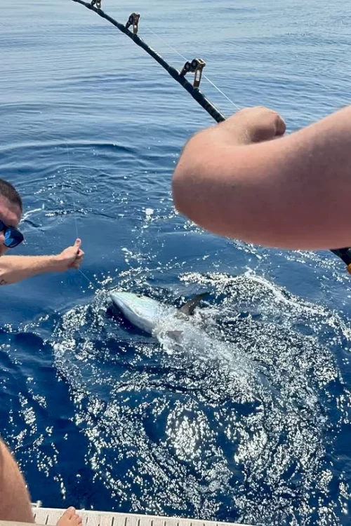 private_fishing_dubrovnik