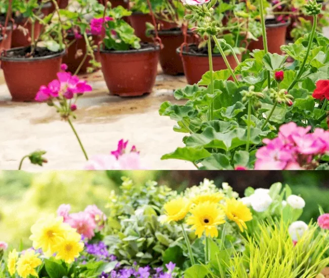 Dizajn bez naslova (5)