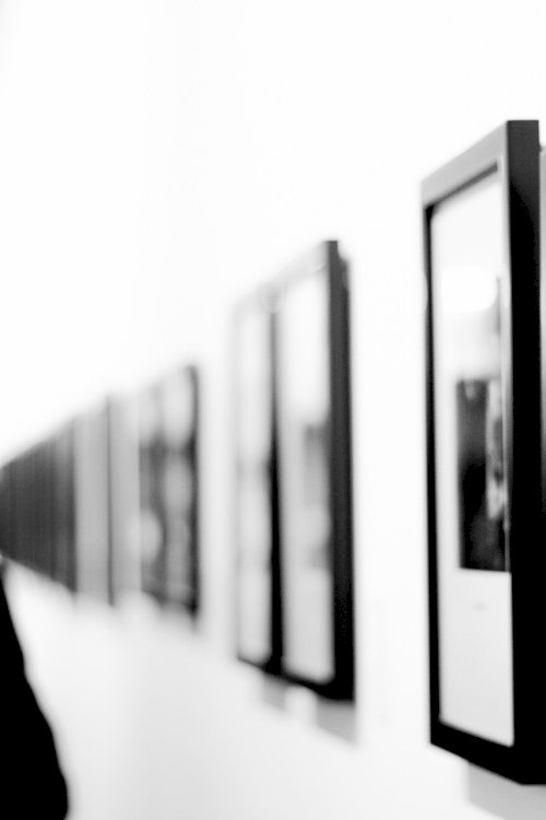 black-and-white-2588502_1920