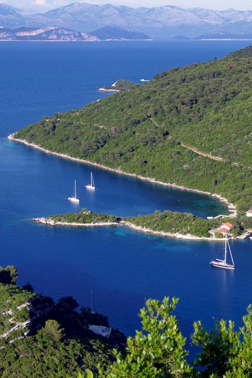 mljet-5179456_1920 (1)