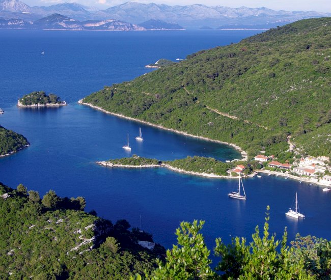 mljet-5179456_1920 (1)
