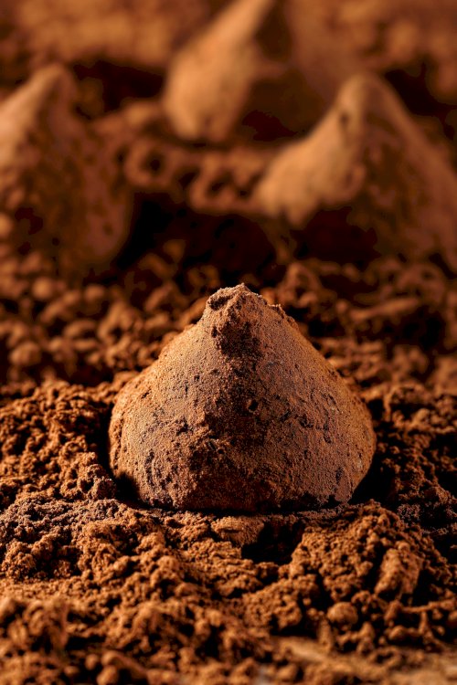 truffles-6636081_1920