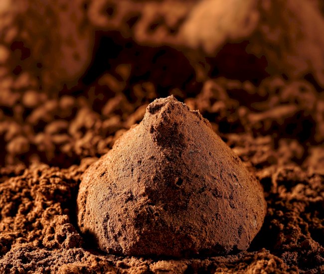truffles-6636081_1920