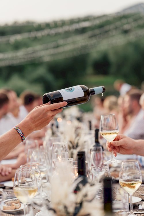 wine-8949009_1920